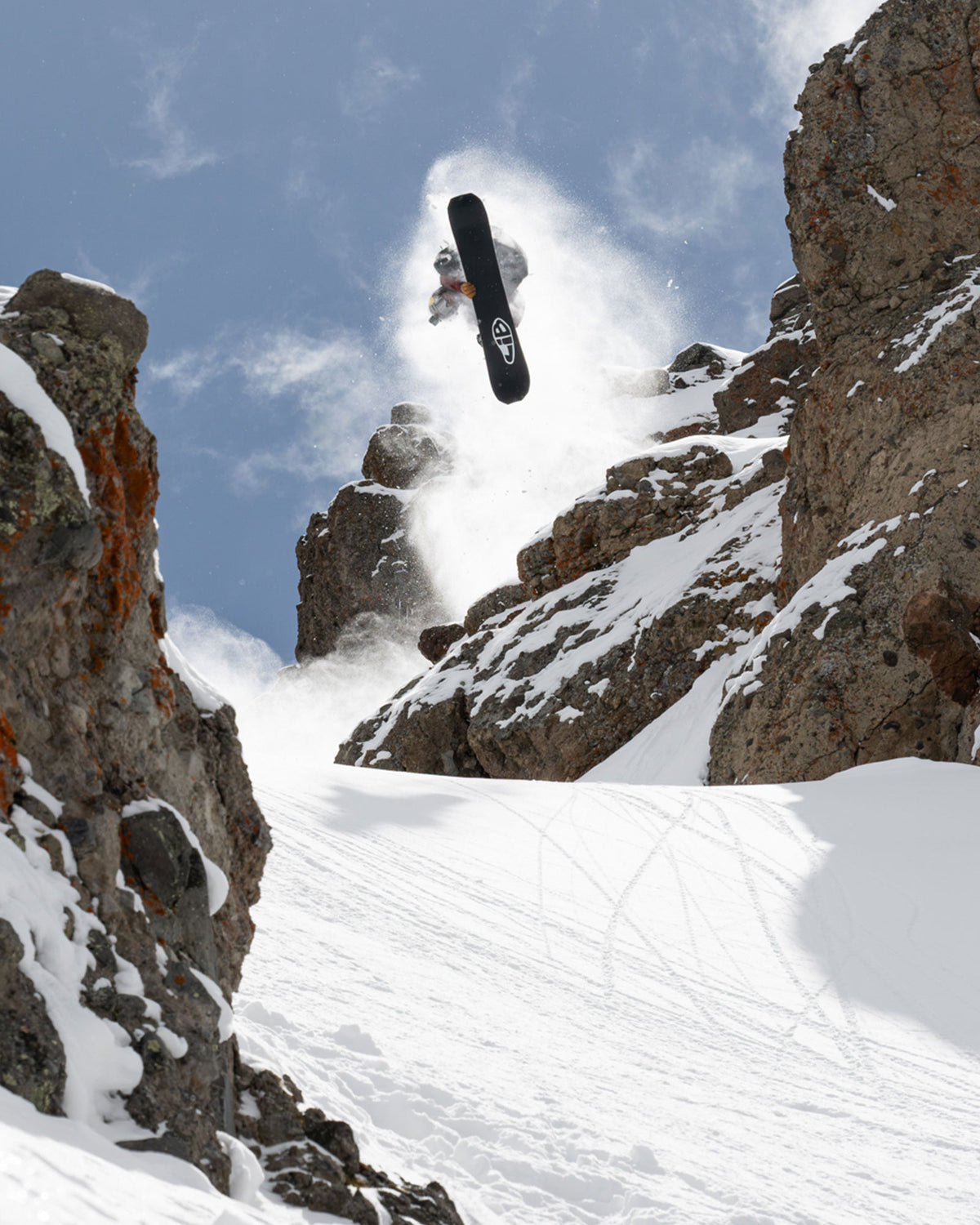 Lib Tech Golden Orca Snowboard Travis Rice
