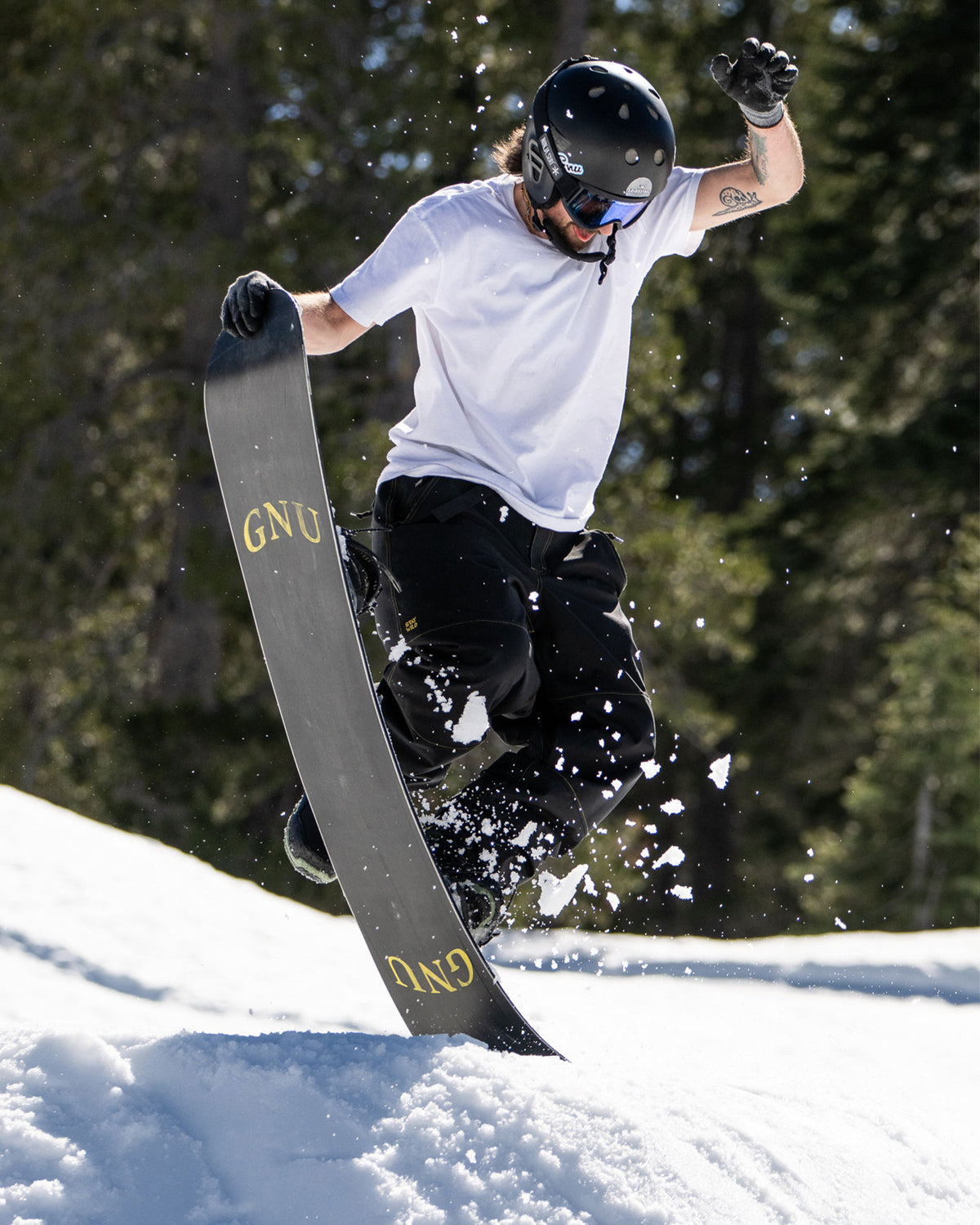 GNU T.R.E. Snowboard | GNU Snowboards 2026-2027 Max Warbington