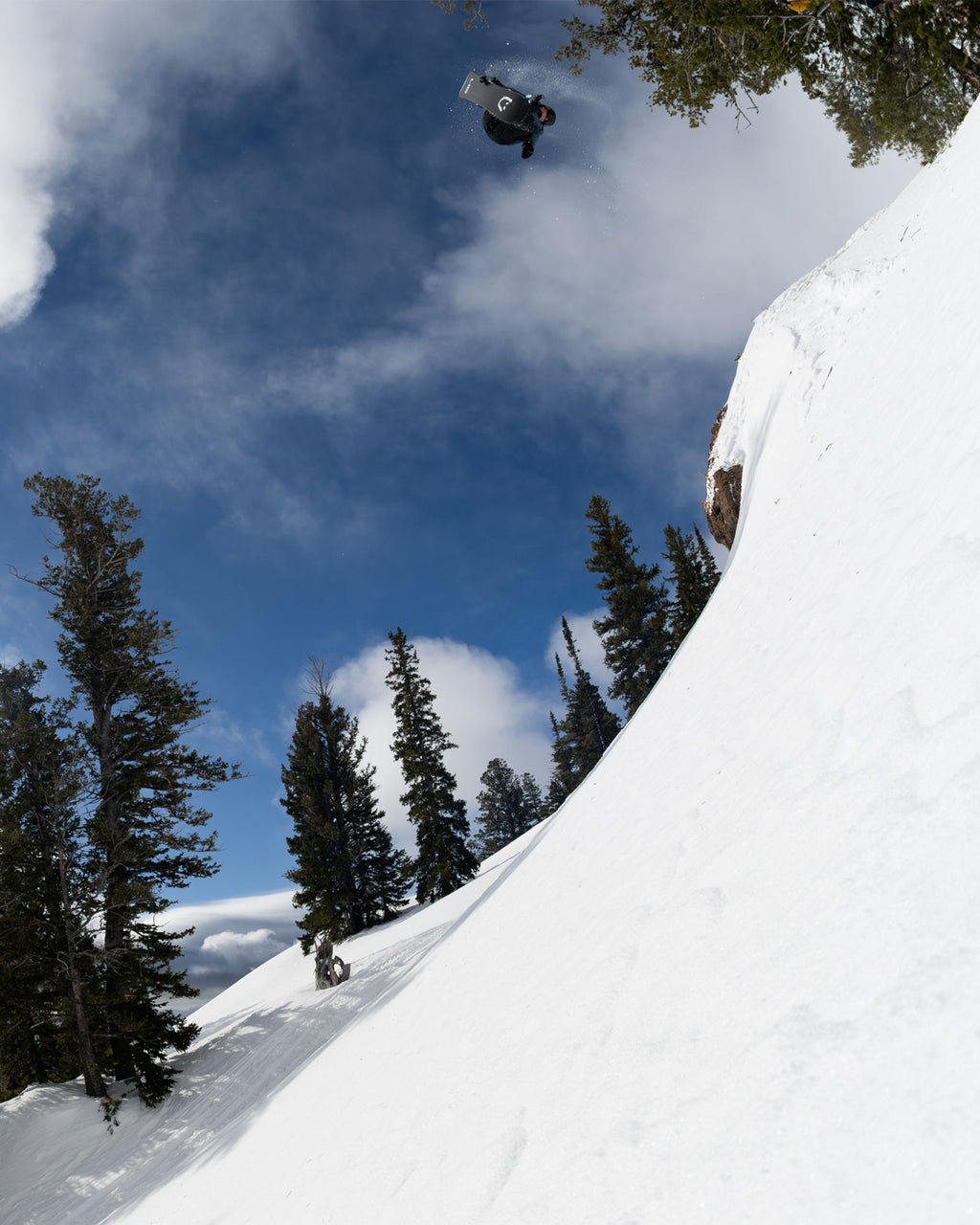 Lib Tech DPR Snowboard, 2026-2027 