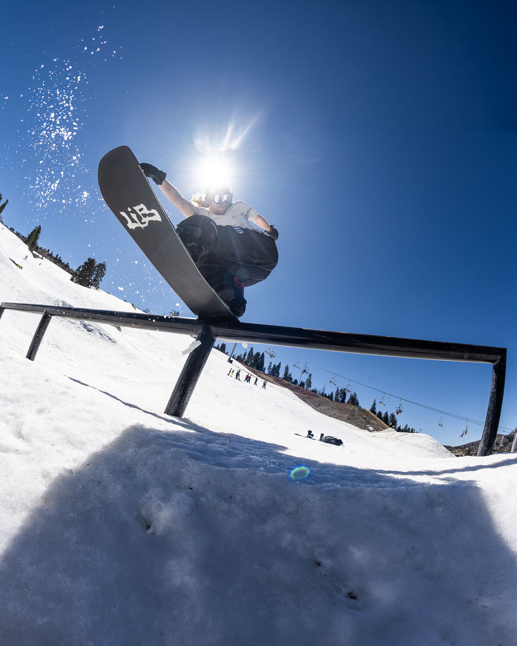 Lib Tech Skunk Ape Twin Snowboard, 2026-2027