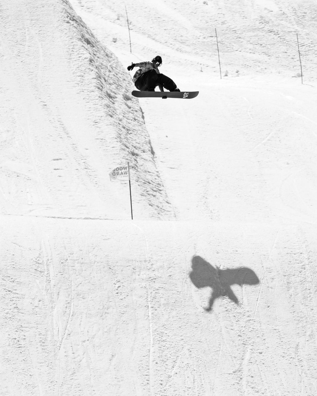 Lib Tech Skunk Ape Twin Snowboard, 2026-2027