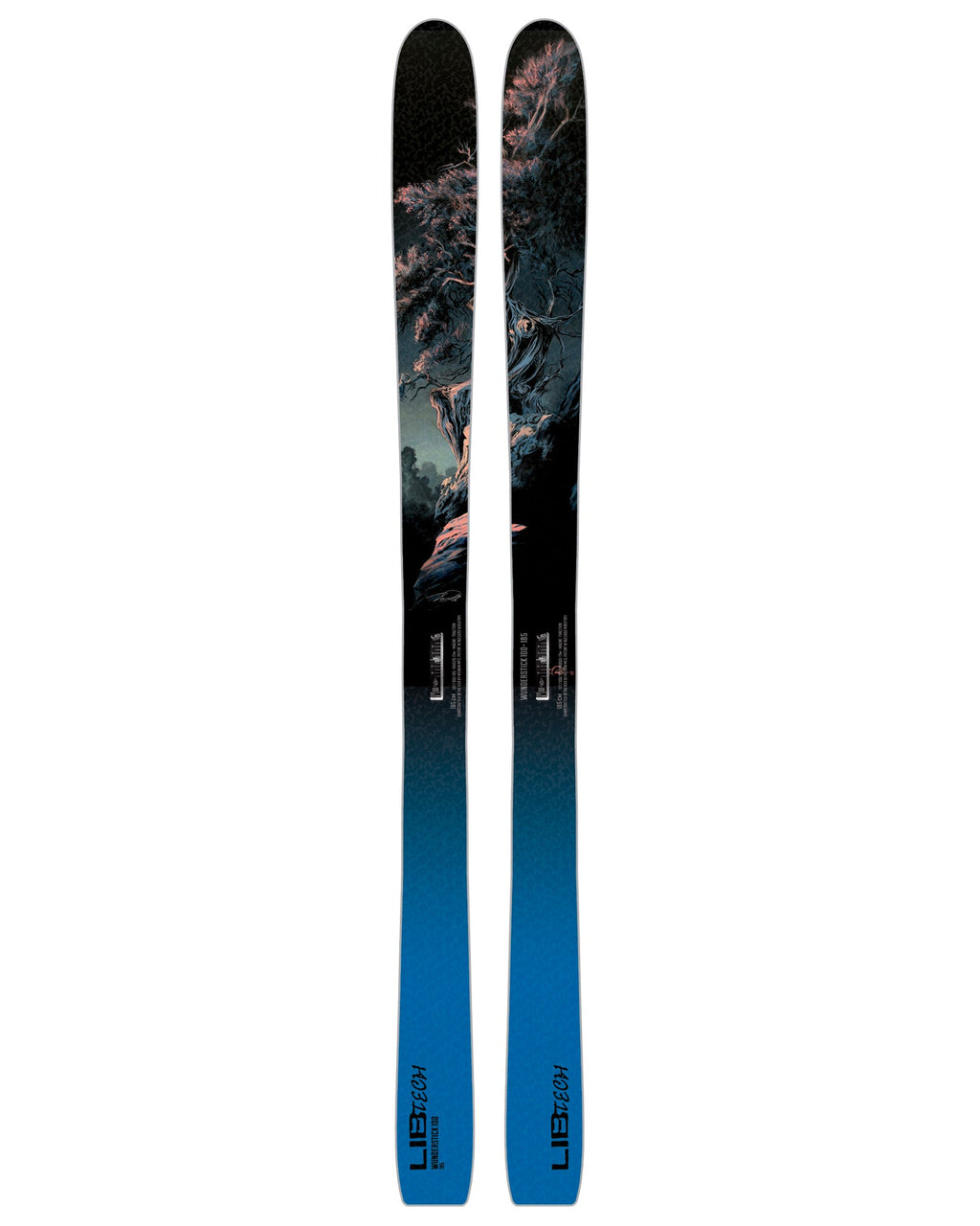 Lib Tech Wunderstick 100 Skis
