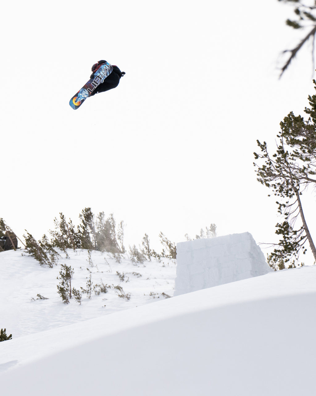Lib Tech Dynamo Snowboard