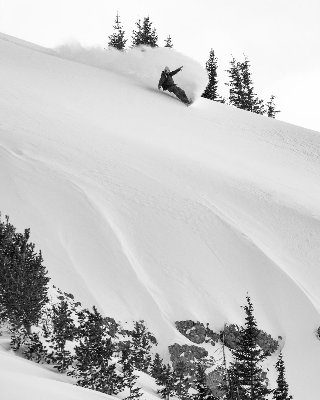 Lib Tech Travis Rice Orca II Snowboard